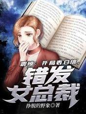 错发女总裁苏浩