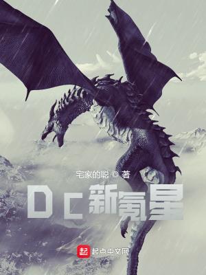 dc新氪星无防盗