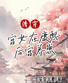 清穿到康熙清朝后宫的