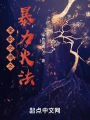 全职法师火系高阶技能