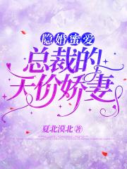 隐婚蜜爱总裁的天价宝贝漫画免费