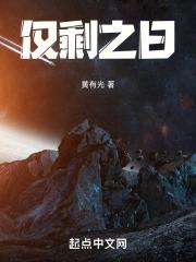 仅剩之日